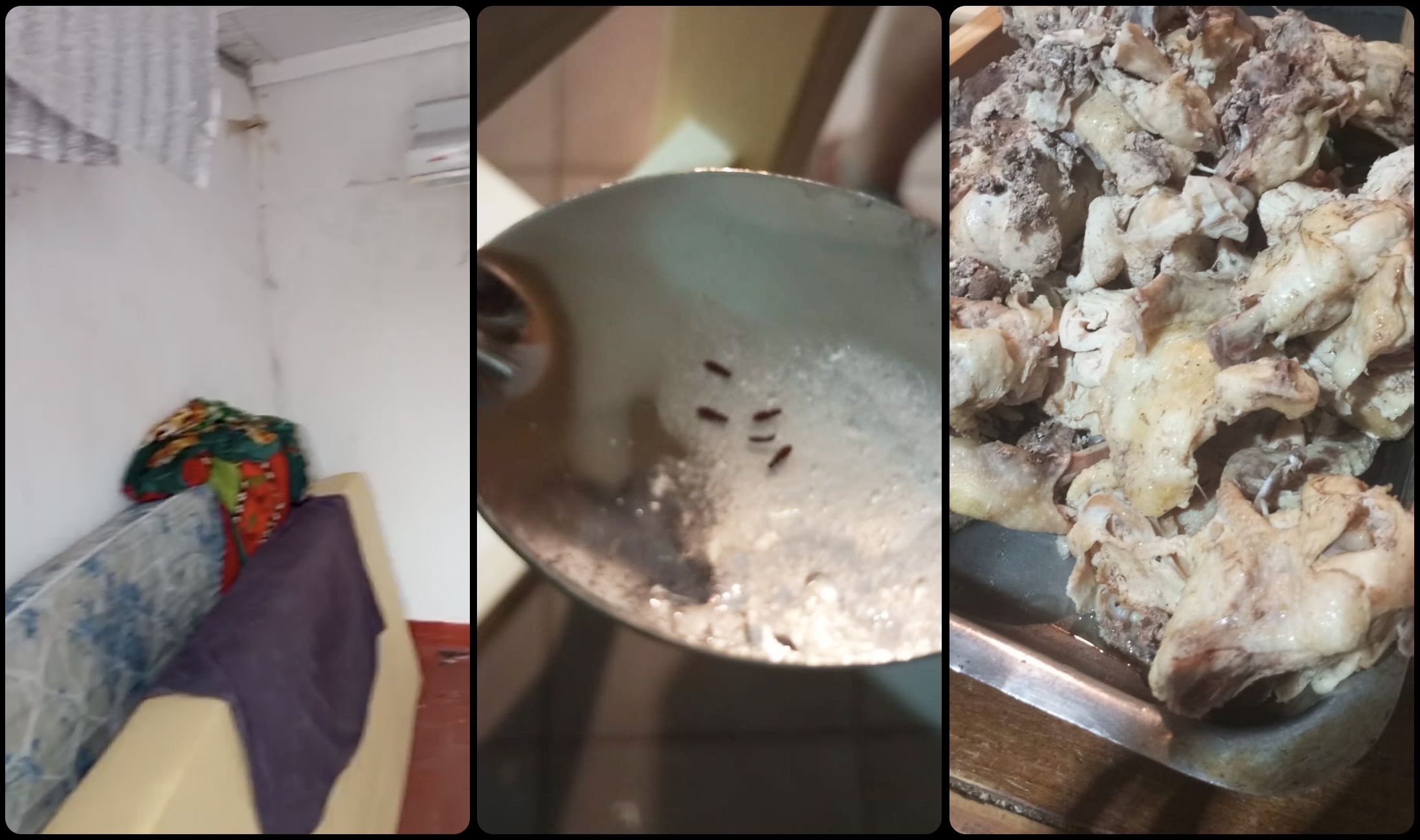 阿根廷足球梦工厂：青训体系背后的残酷真相