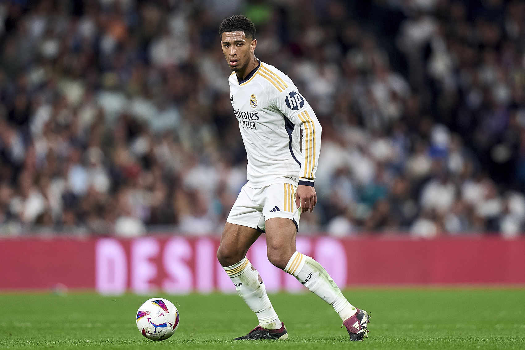 碚西南大学 碚西南大学