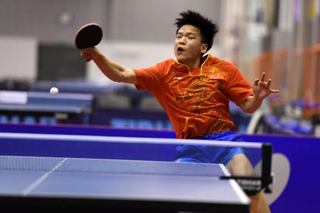 这份白皮书 这份白皮书