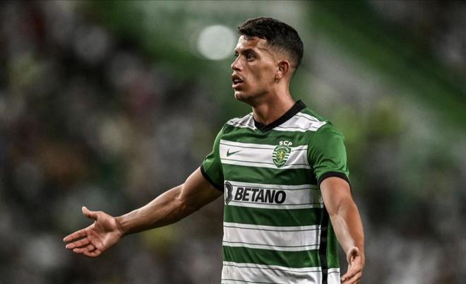 本年度的N 本年度的N